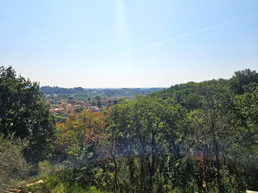 Immagine 5 di Villa in vendita  in Via Luparello 5 a Sarzana