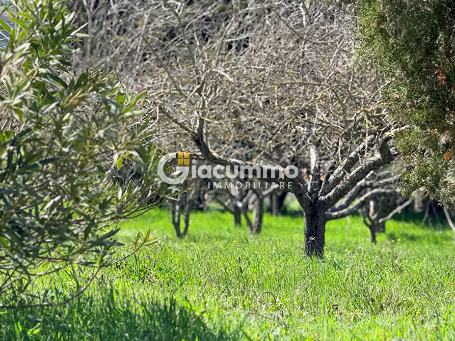 Immagine 33 di Villa in vendita  in CONTRADA MIRACOLO 60 a Avigliano