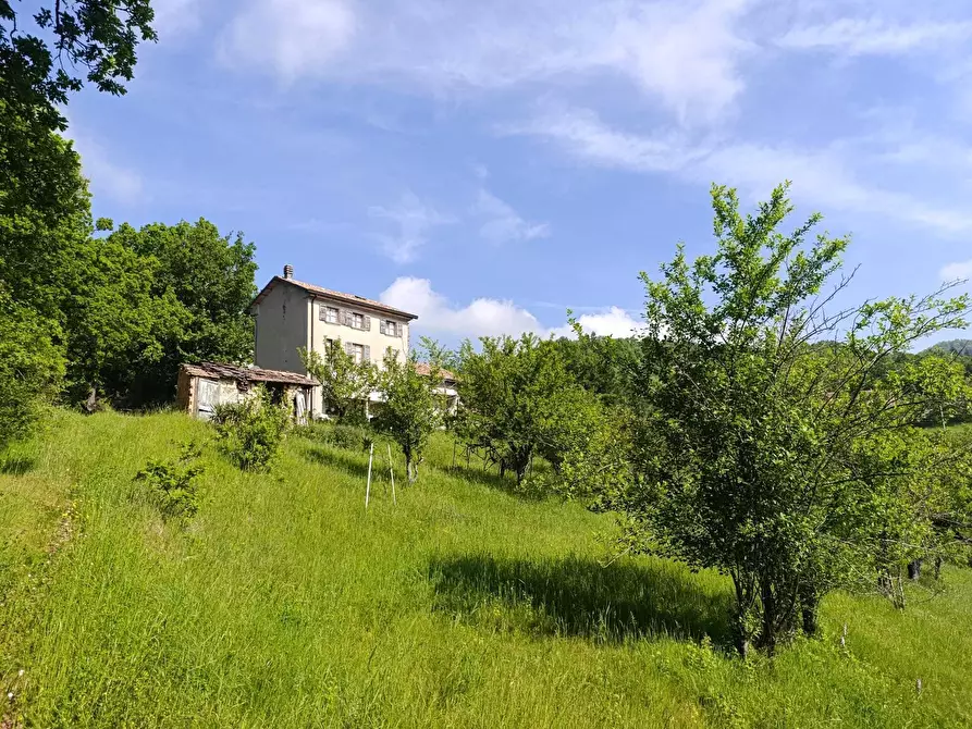 Immagine 4 di Casa indipendente in vendita  a Bore