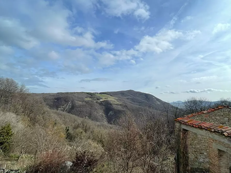 Immagine 24 di Trilocale in affitto  a Solignano