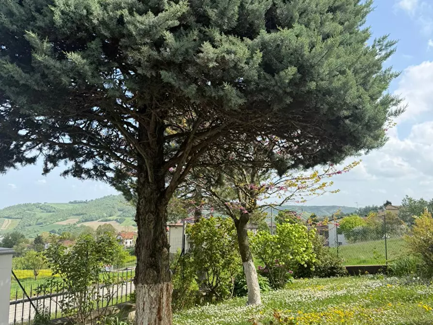 Immagine 5 di Casa bifamiliare in vendita  a Fornovo Di Taro