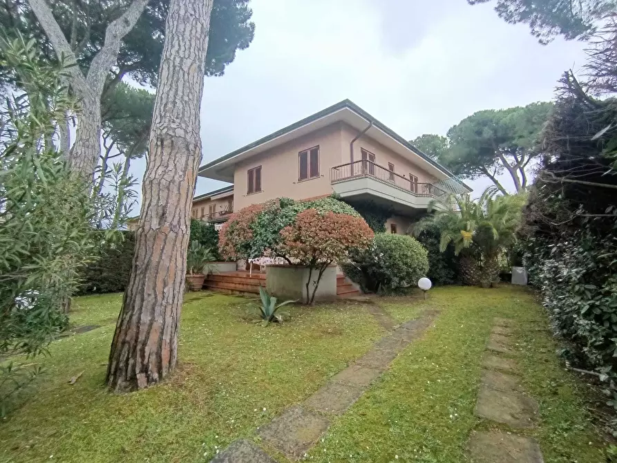 Immagine 20 di Trilocale in affitto  a Massa