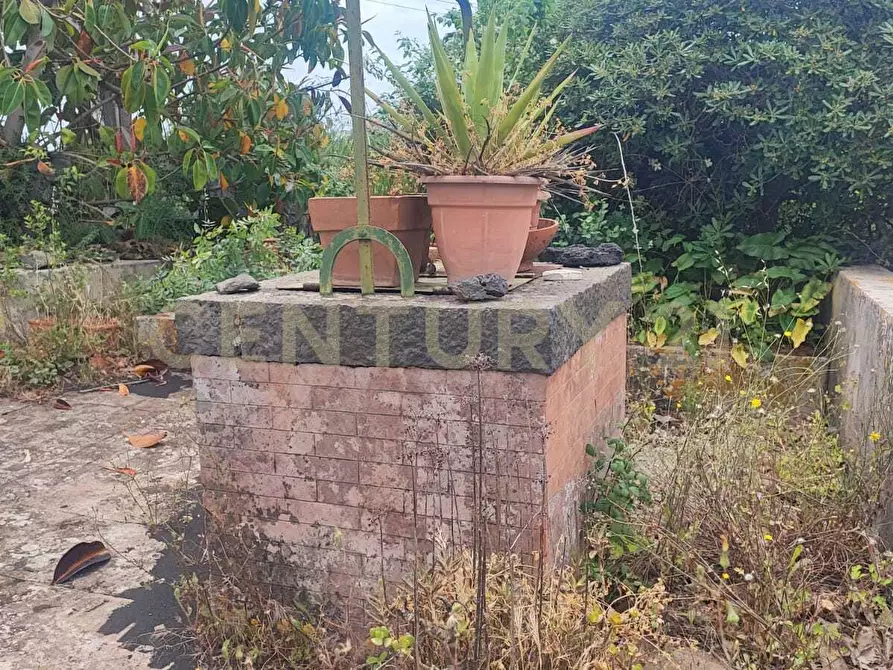 Immagine 3 di Casa indipendente in vendita  in VIA ANGELO MUSCO 24 a San Giovanni La Punta