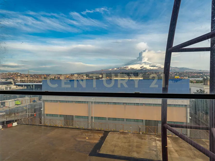 Immagine 32 di Attività commerciale in vendita  in Viale del Commercio a Misterbianco