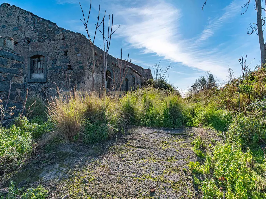Immagine 31 di Terreno agricolo in vendita  in Via Vampolieri a Aci Castello