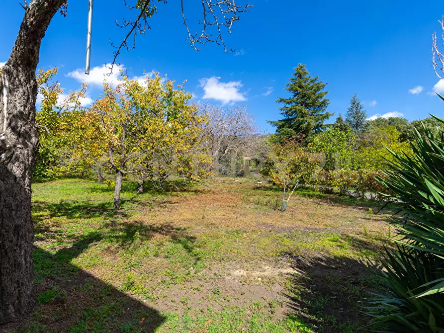 Immagine 33 di Villa in vendita  in Contrada Scolaro Cisterna a Adrano