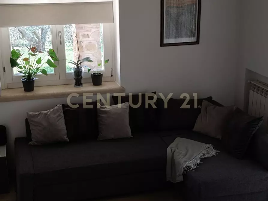 Immagine 9 di Rustico / casale in vendita  in località spinicci snc a Manciano