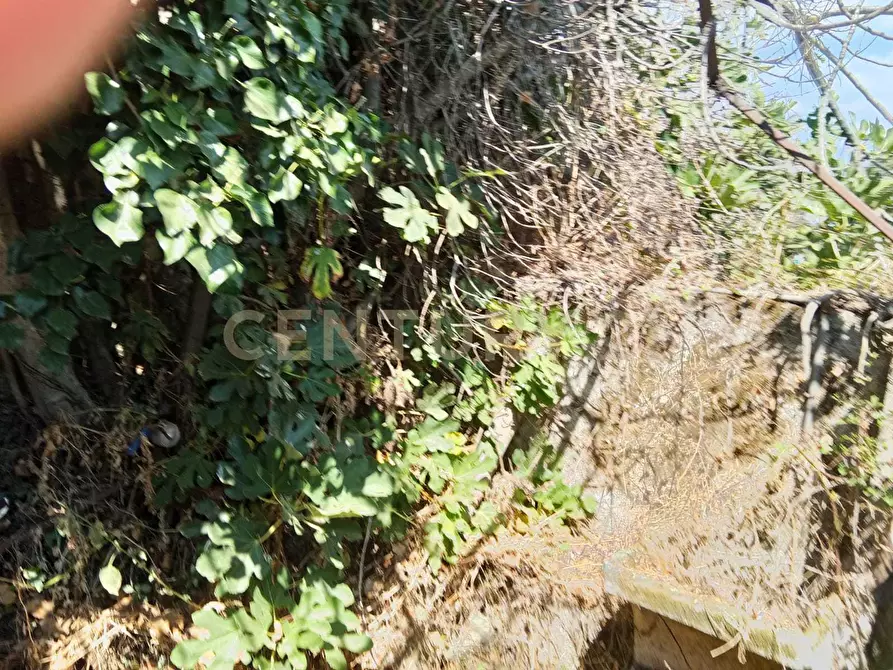 Immagine 9 di Rustico / casale in vendita  in Via Maugeri 12 a Valverde