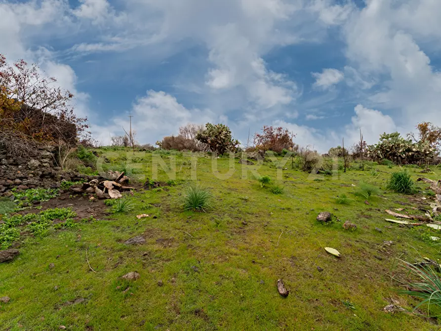 Immagine 22 di Terreno agricolo in vendita  in Via Santa Maria di Licodia a Belpasso