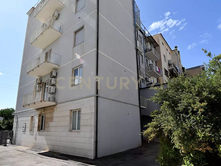 Immagine 42 di Trilocale in vendita  a Grosseto