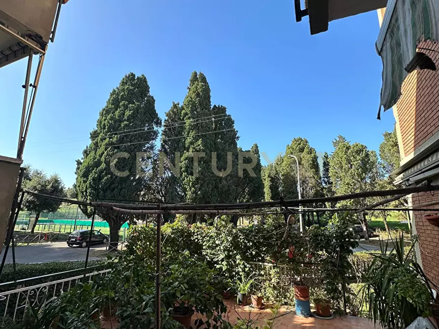 Immagine 4 di Appartamento in vendita  a Scansano