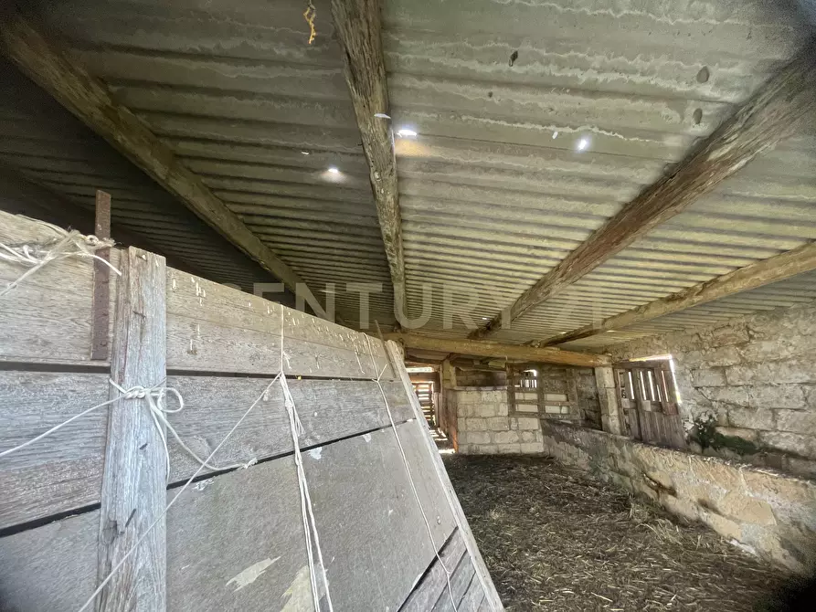 Immagine 19 di Terreno agricolo in vendita  in CONTRADA CORRIDORE CAMPANA SNC a Portopalo Di Capo Passero