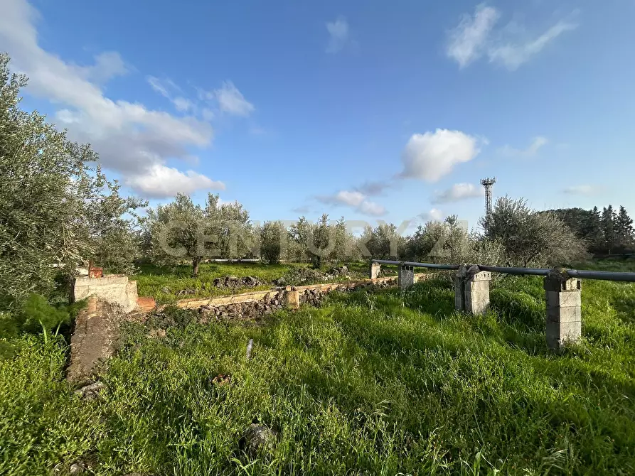 Immagine 28 di Terreno agricolo in vendita  in Via Giovanni Verga 1/A a Misterbianco