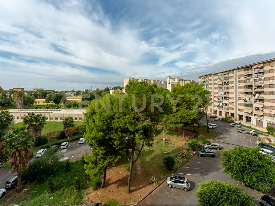 Immagine 19 di Trilocale in vendita  in Viale Bummacaro 14 a Catania