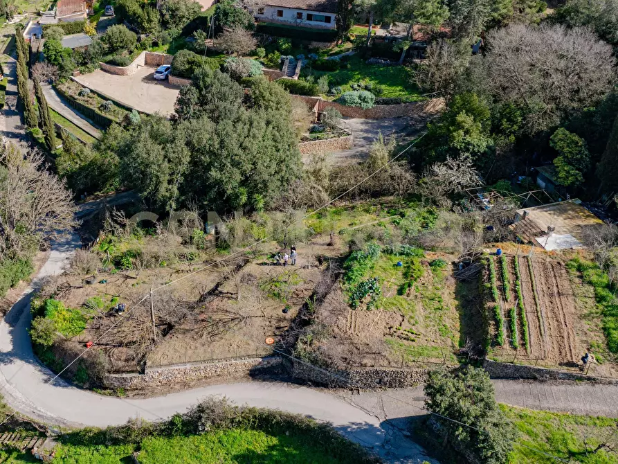 Immagine 11 di Rustico / casale in vendita  in Via del Campone 124 a Monte Argentario
