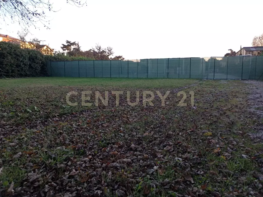 Immagine 4 di Terreno edificabile in vendita  in Via mantova snc a Cerea