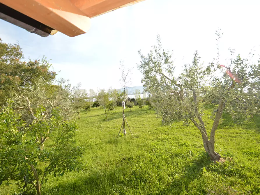 Immagine 13 di Terreno agricolo in vendita  in Loc. quattrostrade a Orbetello
