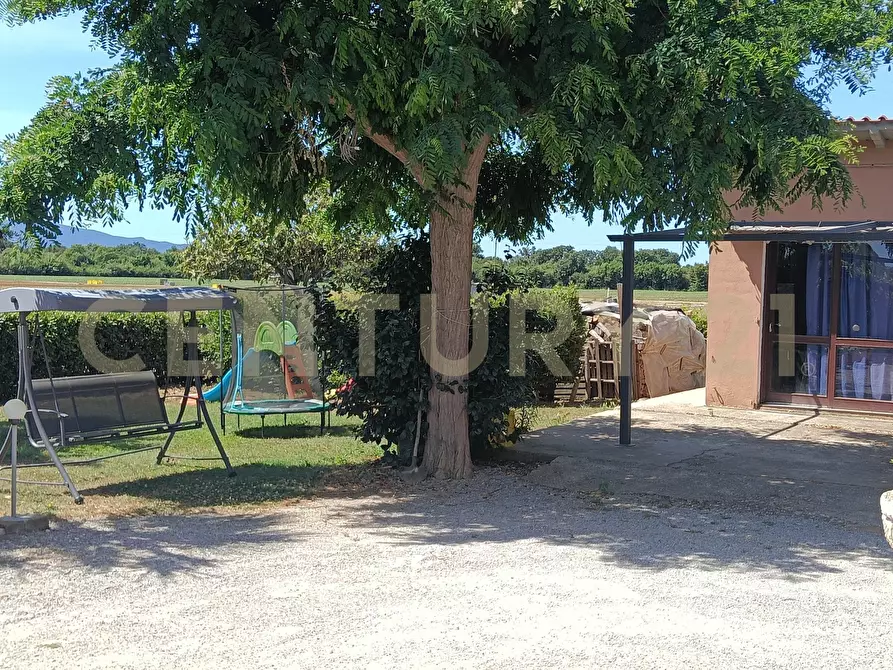 Immagine 3 di Rustico / casale in vendita  in SR74 148 a Orbetello