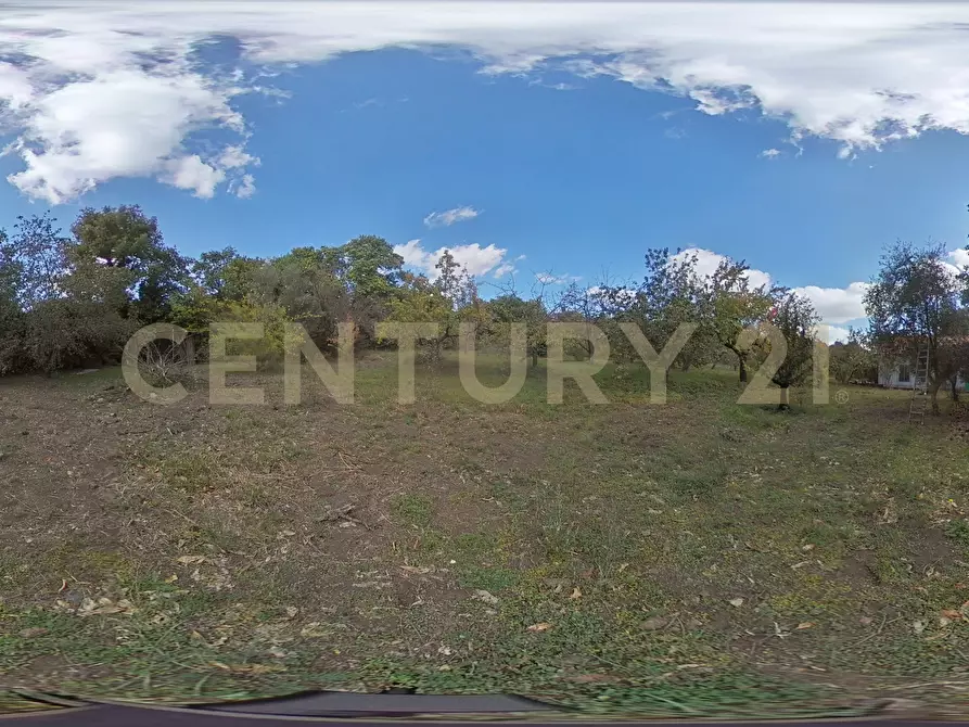 Immagine 59 di Villa in vendita  in Contrada Scolaro Cisterna a Adrano