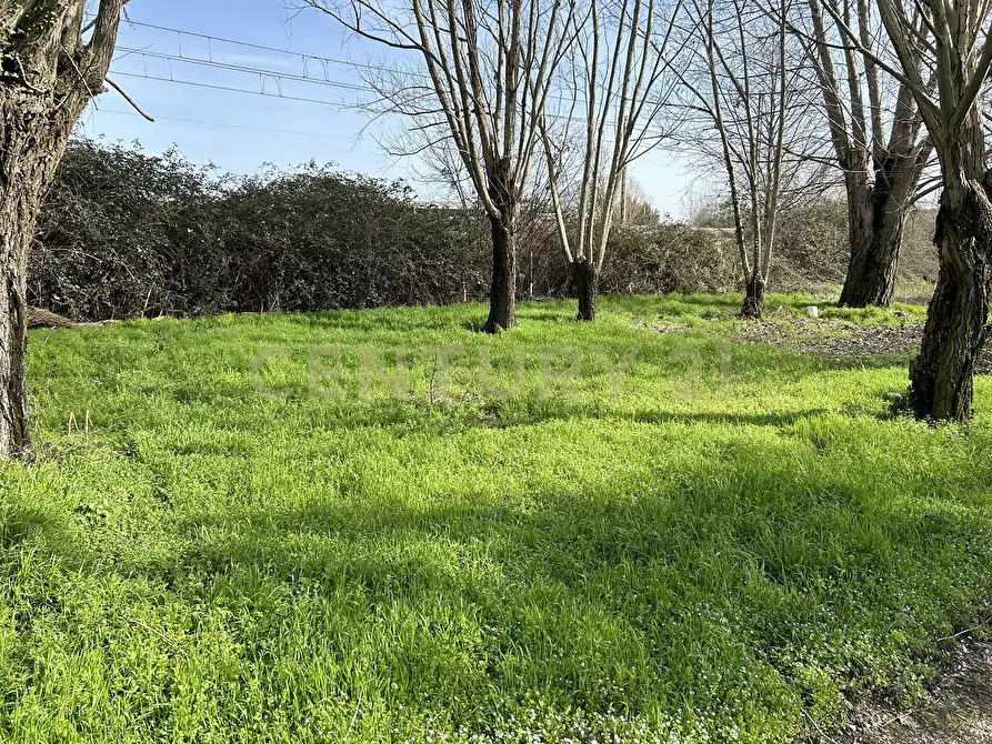 Immagine 6 di Rustico / casale in vendita  in Argine San Lorenzo 11 a Ostiglia