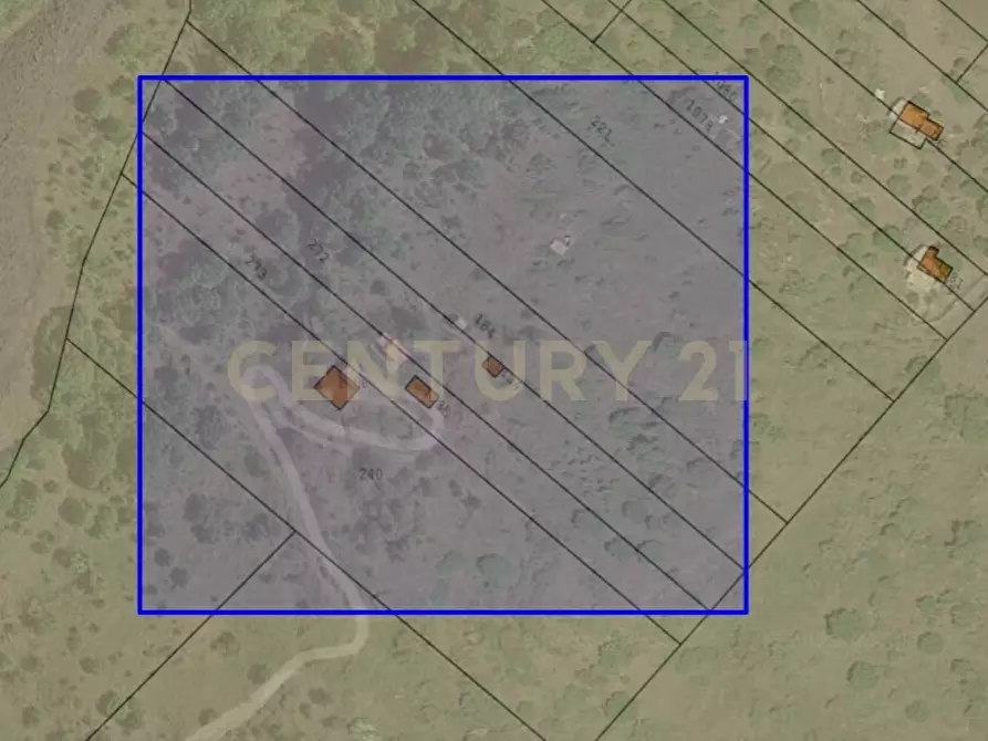 Immagine 10 di Terreno agricolo in vendita  in C.da Filiciusa a Biancavilla