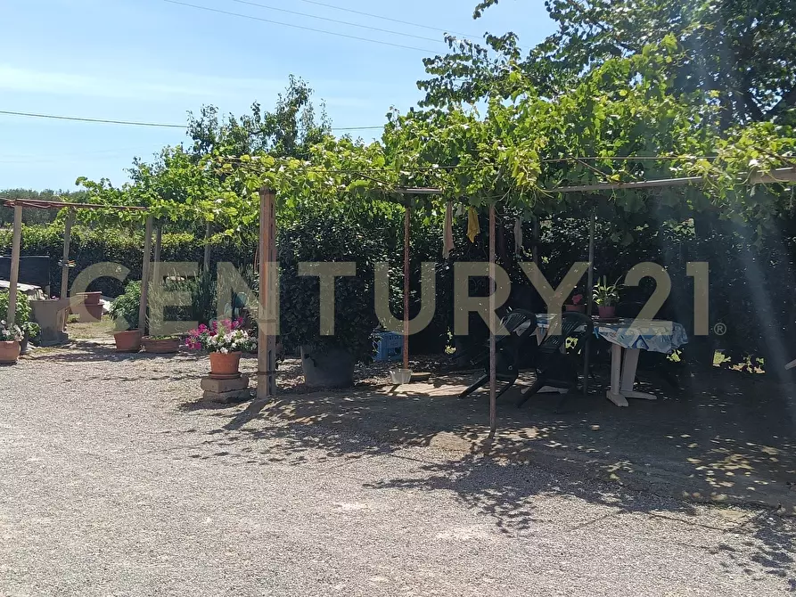 Immagine 6 di Rustico / casale in vendita  in SR74 148 a Orbetello
