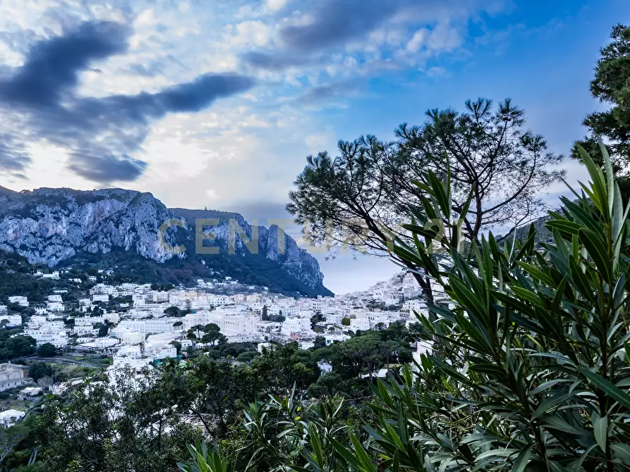 Immagine 8 di Villa in vendita  in Via Tuoro 11 a Capri