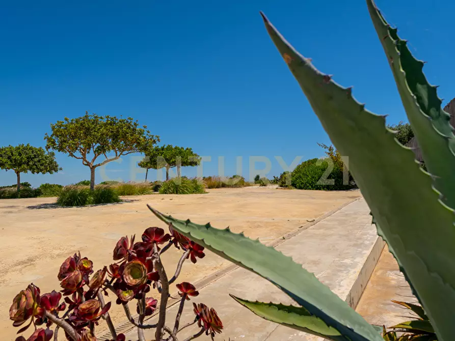 Immagine 45 di Villa in vendita  in Contrada Pagliarello snc a Portopalo Di Capo Passero