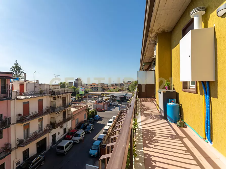 Immagine 30 di Quadrilocale in vendita  in Via Jacopo Vignerio 5 a Catania