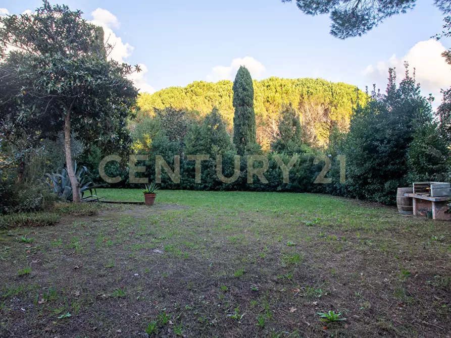 Immagine 19 di Villa in vendita  in Località Pian d'Alma a Castiglione Della Pescaia