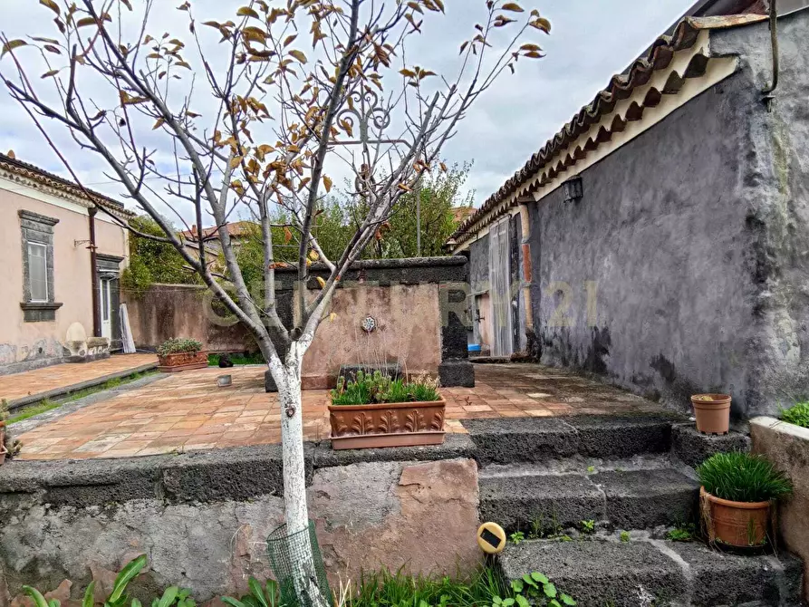 Immagine 82 di Villa in vendita  in Via Calvario 43 a Mascalucia