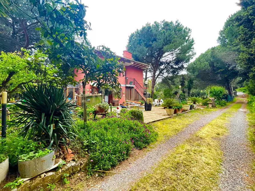 Immagine 1 di Rustico / casale in vendita  in località patanella a Orbetello