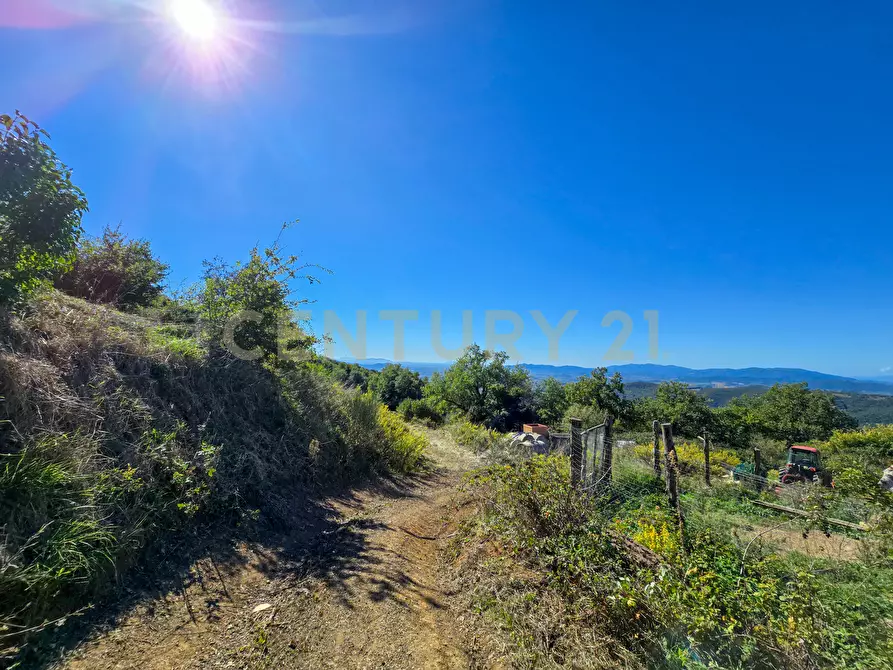 Immagine 3 di Appartamento in vendita  in località le coste snc a Roccastrada