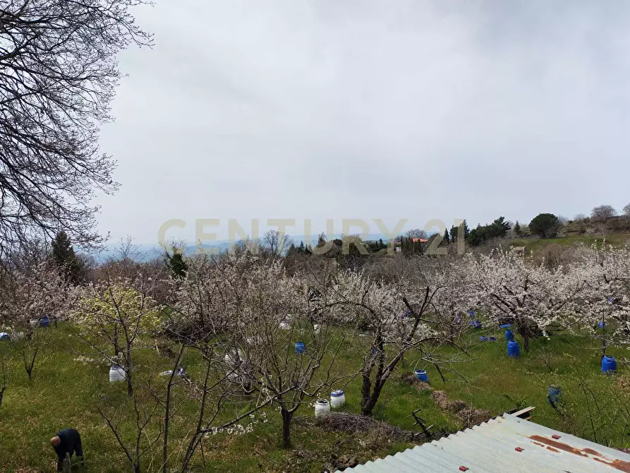 Immagine 5 di Terreno agricolo in vendita  in BIANCAVILLA a Catania
