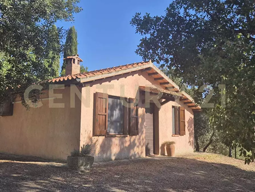 Immagine 3 di Azienda agricola in vendita  in località poggio al capraio snc a Roccastrada