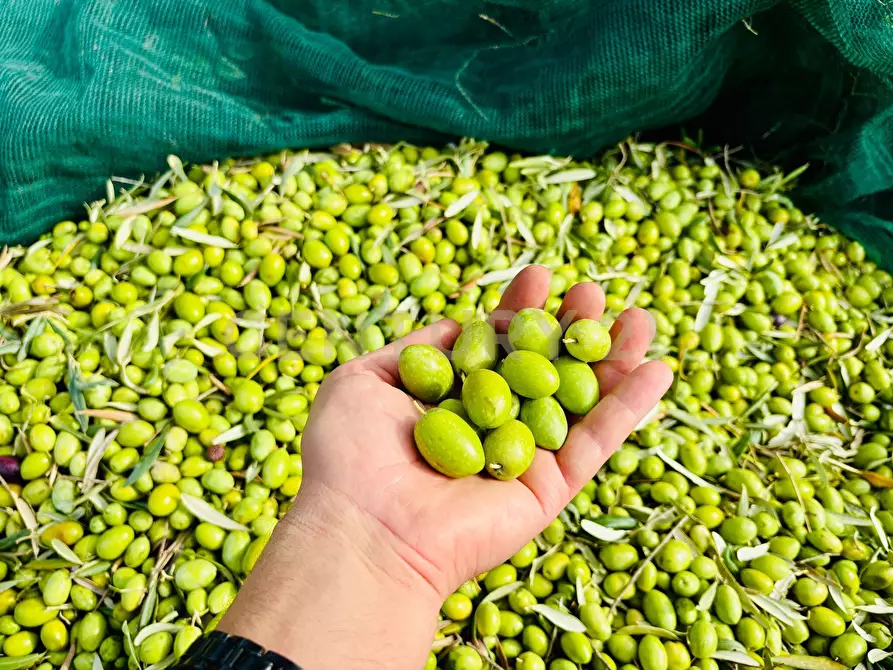 Immagine 39 di Rustico / casale in vendita  in SP104 a Modica