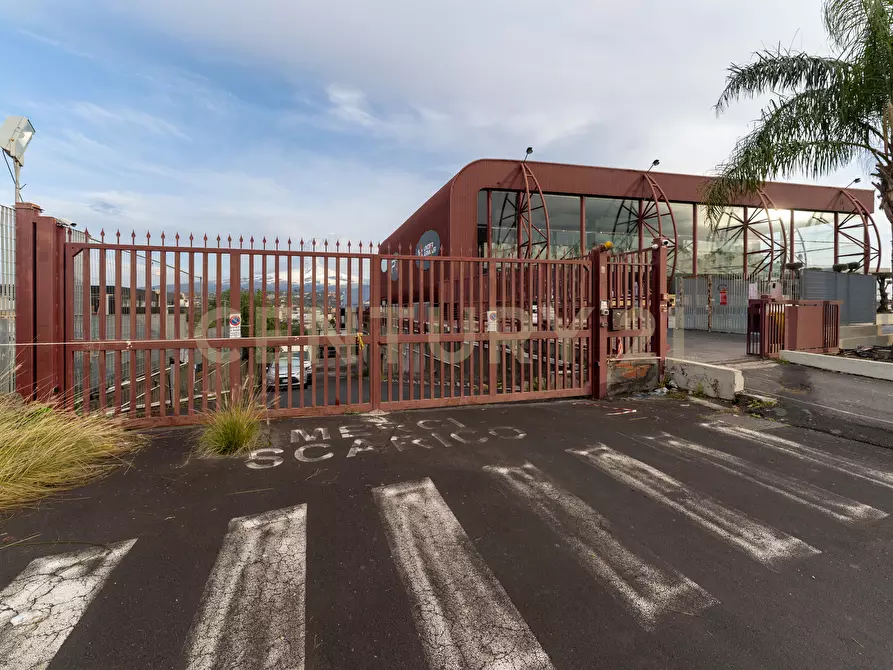 Immagine 3 di Attività commerciale in vendita  in Viale del Commercio a Misterbianco