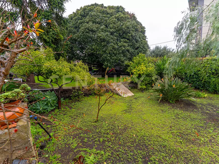 Immagine 78 di Villetta a schiera in vendita  in Via Carrubella 8 a Catania