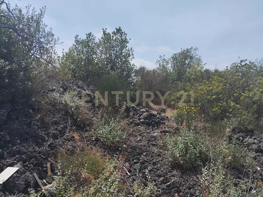 Immagine 21 di Terreno agricolo in vendita  in CONTRADA MANGIONE snc a Catania