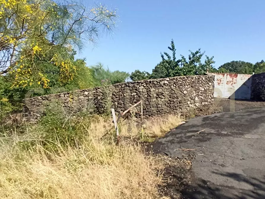Immagine 26 di Terreno agricolo in vendita  in C.da Filiciusa a Biancavilla