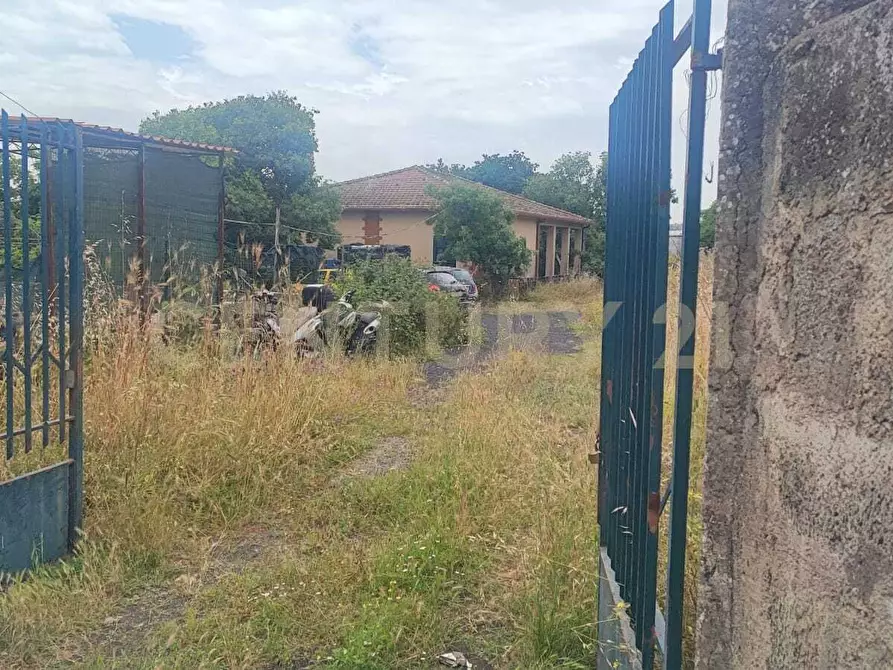 Immagine 14 di Casa indipendente in vendita  in VIA ANGELO MUSCO 24 a San Giovanni La Punta