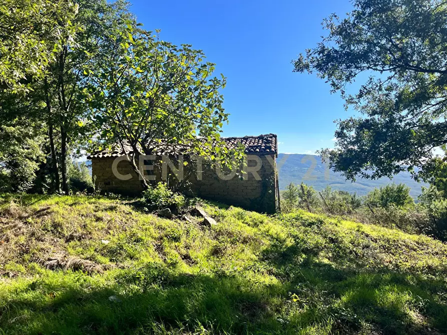 Immagine 1 di Rustico / casale in vendita  in strada vicinale petricci snc a Semproniano