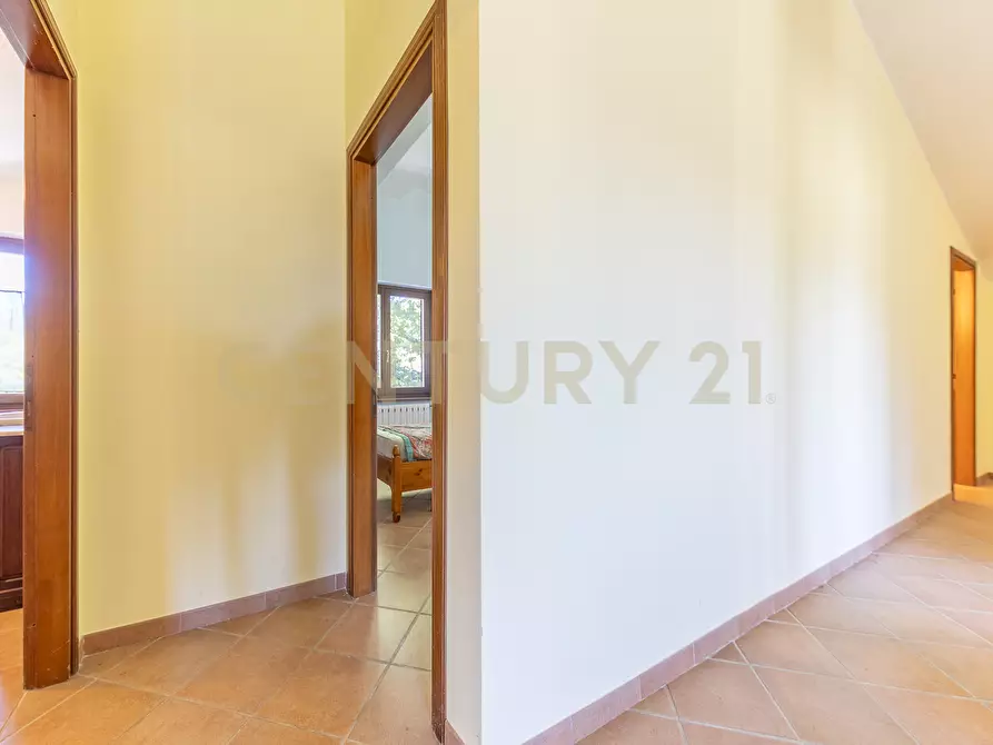 Immagine 75 di Rustico / casale in vendita  in località san quirichello a Barbarano Romano