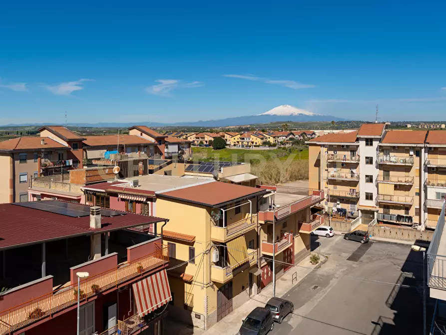 Immagine 44 di Palazzo in vendita  in Via Eraclea 82 a Lentini