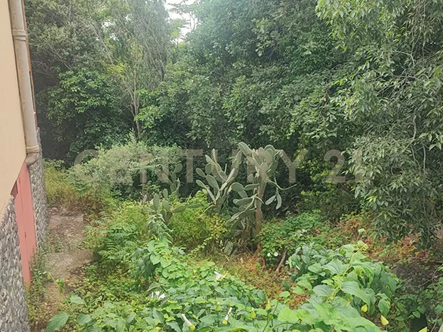 Immagine 13 di Casa indipendente in vendita  in VIA ANGELO MUSCO 24 a San Giovanni La Punta