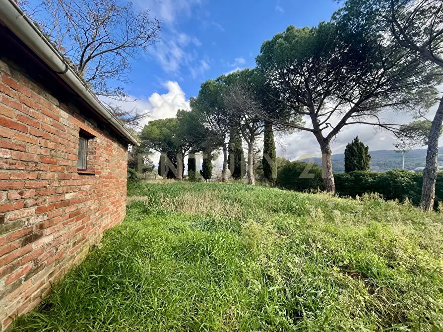Immagine 5 di Pentalocale in vendita  in località casini a Scansano