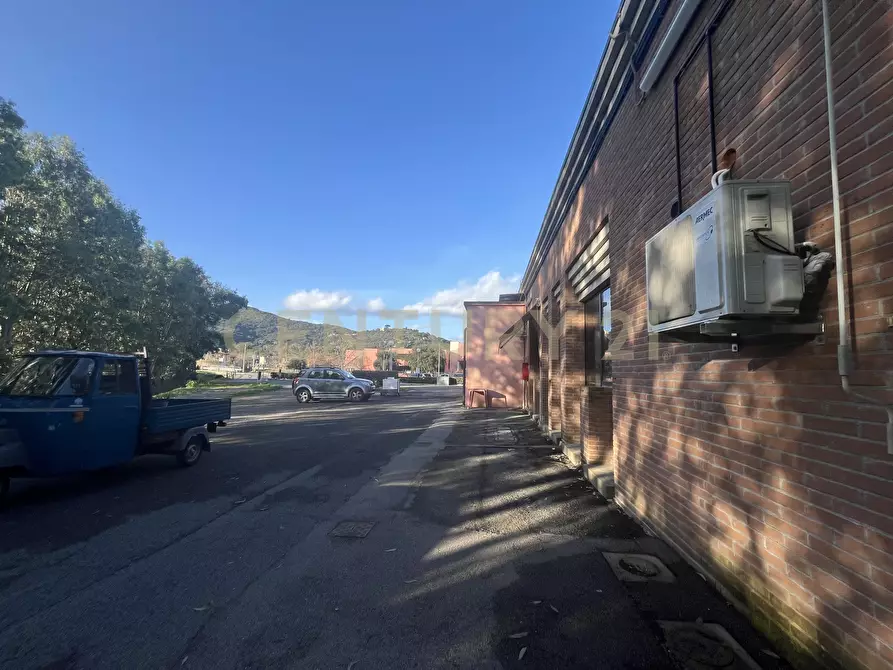 Immagine 8 di Locale commerciale in vendita  in Via Ponte Giorgini a Castiglione Della Pescaia