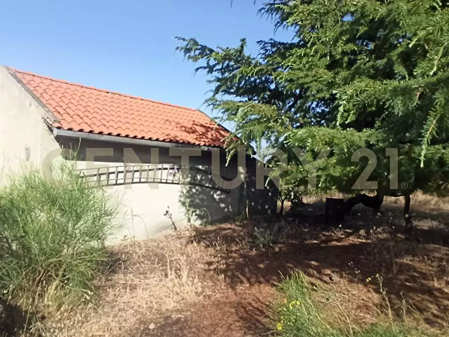 Immagine 36 di Terreno agricolo in vendita  in C.da Filiciusa a Biancavilla