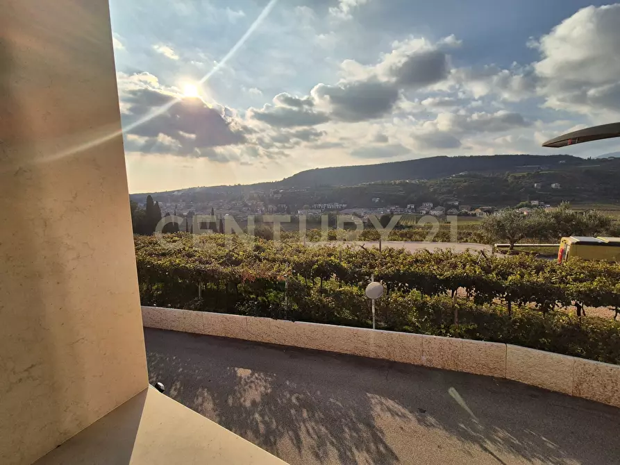 Immagine 43 di Terratetto in vendita  in Via Vigolo 1 a Negrar di Valpolicella