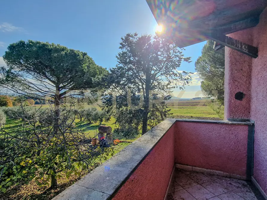 Immagine 24 di Villa in vendita  in Pian dei bichi a Roccastrada